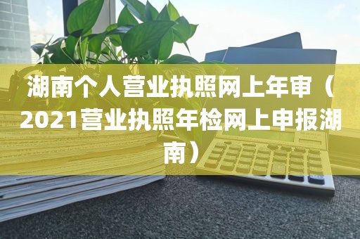 湖南个人营业执照网上年审（2021营业执照年检网上申报湖南）