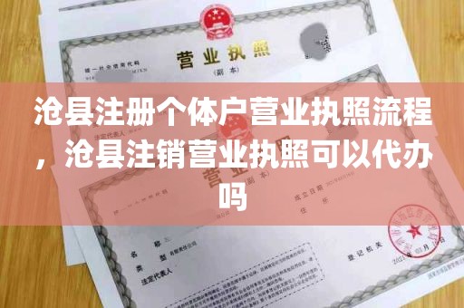 沧县注册个体户营业执照流程，沧县注销营业执照可以代办吗