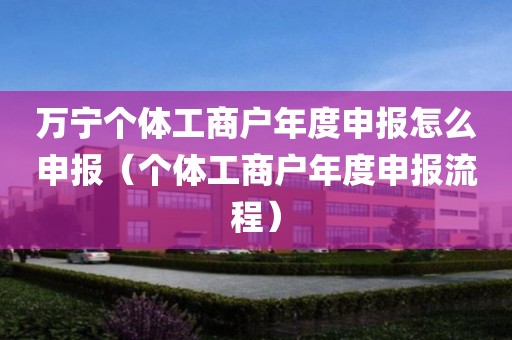 万宁个体工商户年度申报怎么申报（个体工商户年度申报流程）