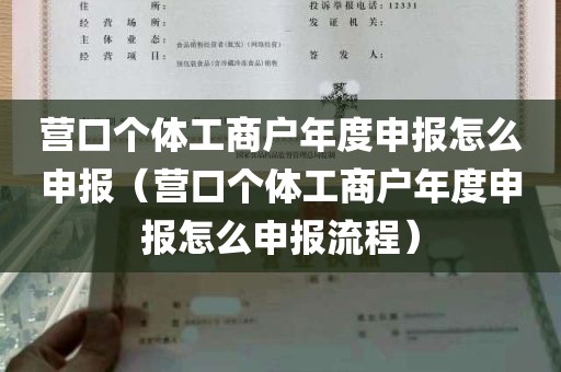 营口个体工商户年度申报怎么申报（营口个体工商户年度申报怎么申报流程）