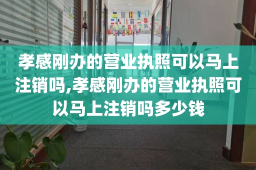 孝感刚办的营业执照可以马上注销吗,孝感刚办的营业执照可以马上注销吗多少钱