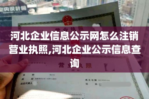 河北企业信息公示网怎么注销营业执照,河北企业公示信息查询