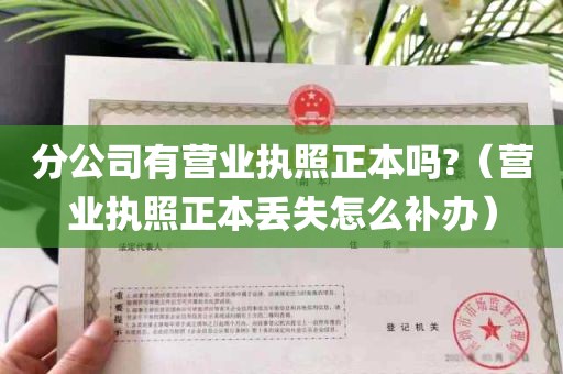 分公司有营业执照正本吗?（营业执照正本丢失怎么补办）