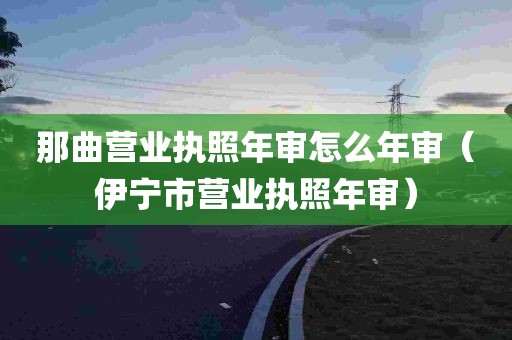 那曲营业执照年审怎么年审（伊宁市营业执照年审）