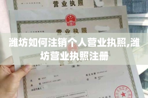 潍坊如何注销个人营业执照,潍坊营业执照注册