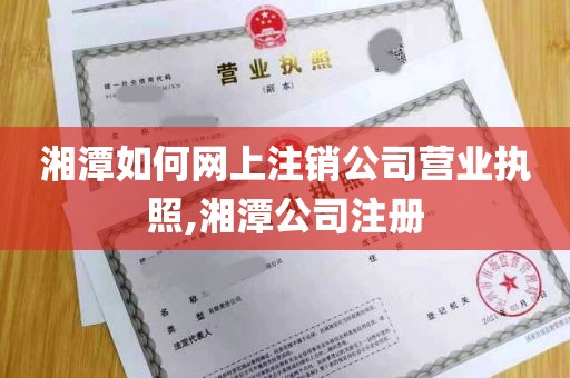 湘潭如何网上注销公司营业执照,湘潭公司注册