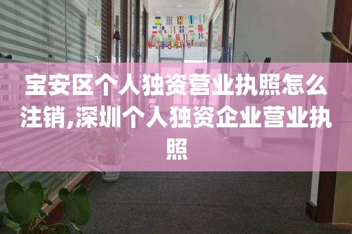 宝安区个人独资营业执照怎么注销,深圳个人独资企业营业执照