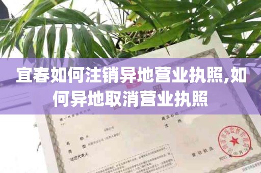 宜春如何注销异地营业执照,如何异地取消营业执照