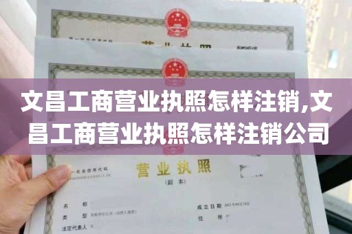 文昌工商营业执照怎样注销,文昌工商营业执照怎样注销公司