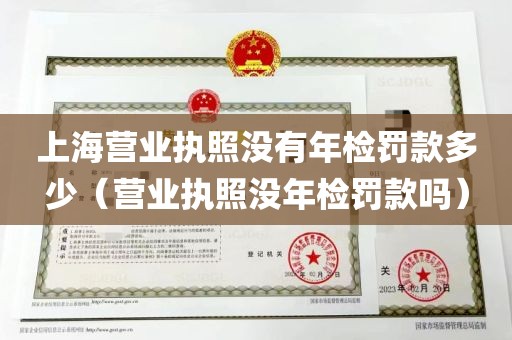 上海营业执照没有年检罚款多少（营业执照没年检罚款吗）