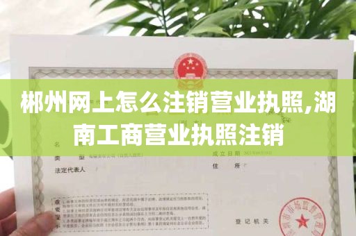 郴州网上怎么注销营业执照,湖南工商营业执照注销