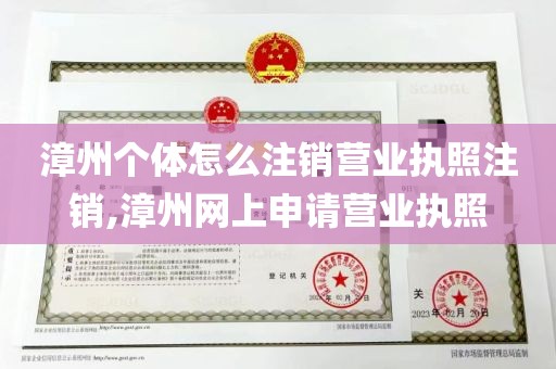 漳州个体怎么注销营业执照注销,漳州网上申请营业执照