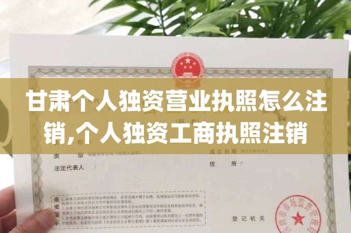 甘肃个人独资营业执照怎么注销,个人独资工商执照注销