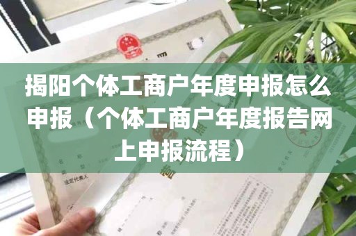 揭阳个体工商户年度申报怎么申报（个体工商户年度报告网上申报流程）