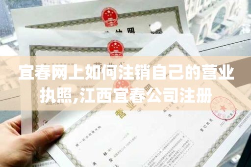 宜春网上如何注销自己的营业执照,江西宜春公司注册