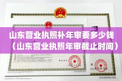 山东营业执照补年审要多少钱（山东营业执照年审截止时间）