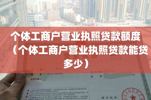 个体工商户营业执照贷款额度（个体工商户营业执照贷款能贷多少）