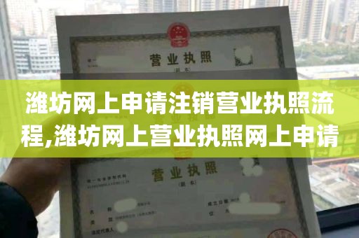 潍坊网上申请注销营业执照流程,潍坊网上营业执照网上申请