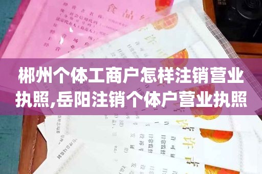 郴州个体工商户怎样注销营业执照,岳阳注销个体户营业执照