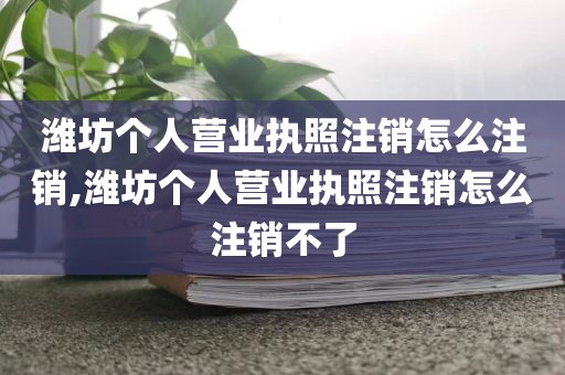 潍坊个人营业执照注销怎么注销,潍坊个人营业执照注销怎么注销不了