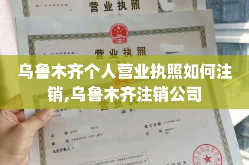 乌鲁木齐个人营业执照如何注销,乌鲁木齐注销公司