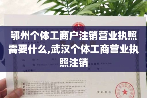 鄂州个体工商户注销营业执照需要什么,武汉个体工商营业执照注销