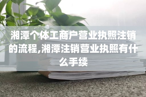 湘潭个体工商户营业执照注销的流程,湘潭注销营业执照有什么手续