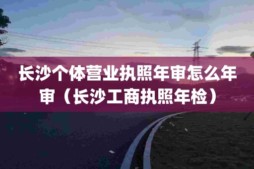 长沙个体营业执照年审怎么年审（长沙工商执照年检）