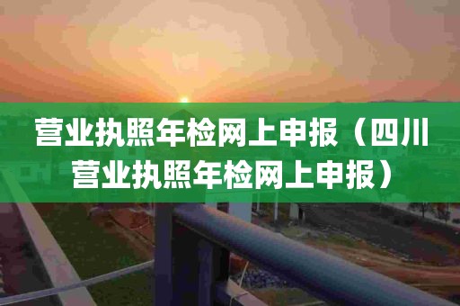 营业执照年检网上申报（四川营业执照年检网上申报）