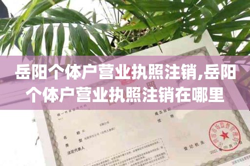 岳阳个体户营业执照注销,岳阳个体户营业执照注销在哪里