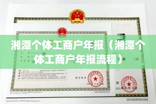 湘潭个体工商户年报（湘潭个体工商户年报流程）