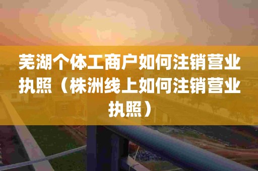 芜湖个体工商户如何注销营业执照（株洲线上如何注销营业执照）